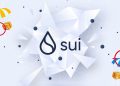 Sui 代幣分配資料，錯過 APT 空投不能錯過 Sui