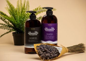 近期精選代幣誕生在CHAEBOL平台的NFTC社群治理代幣。