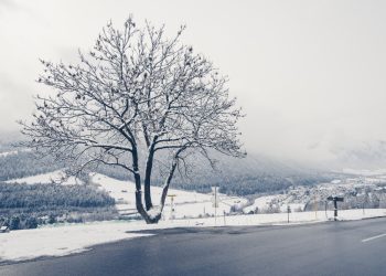 【MICA RESEARCH】FTX 重創加密市場形象，加密幣寒冬比想像中更冷