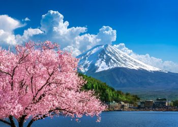 日本執政黨同意放寬虛擬貨幣的企業稅規定