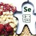 生命元素  人體不可缺少的硒