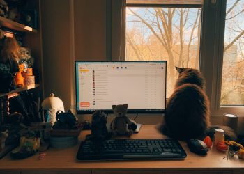 美SEC與加密公司：貓和老鼠的遊戲？