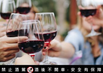 【高性價比紅酒特輯】旺迪紅酒-宴會居家首要選擇