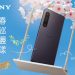 響應全民普發-6000!sony-xperia-全系列機款推春季購機優惠