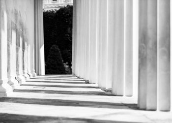 123 頁法庭文件還原FTX 投資Mysten Labs 情況：透露了哪些SUI 的信息？