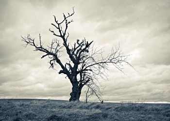 連Meta都在搞AI 誰還記得元宇宙？