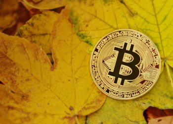 比特幣減半開始倒計時就在1年後