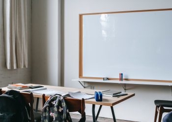 Optimism 基金會解讀10 個教育類PGF 項目