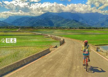 線上學習平台推旅圖創作週年慶