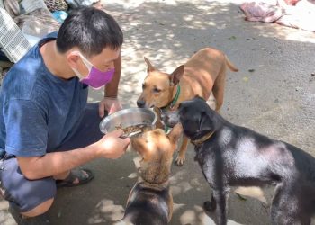 毛孩集糧讓無家可歸的浪浪飽餐一頓