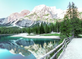 讀《數字經濟背景下「NFT」的法律屬性與風險治理》