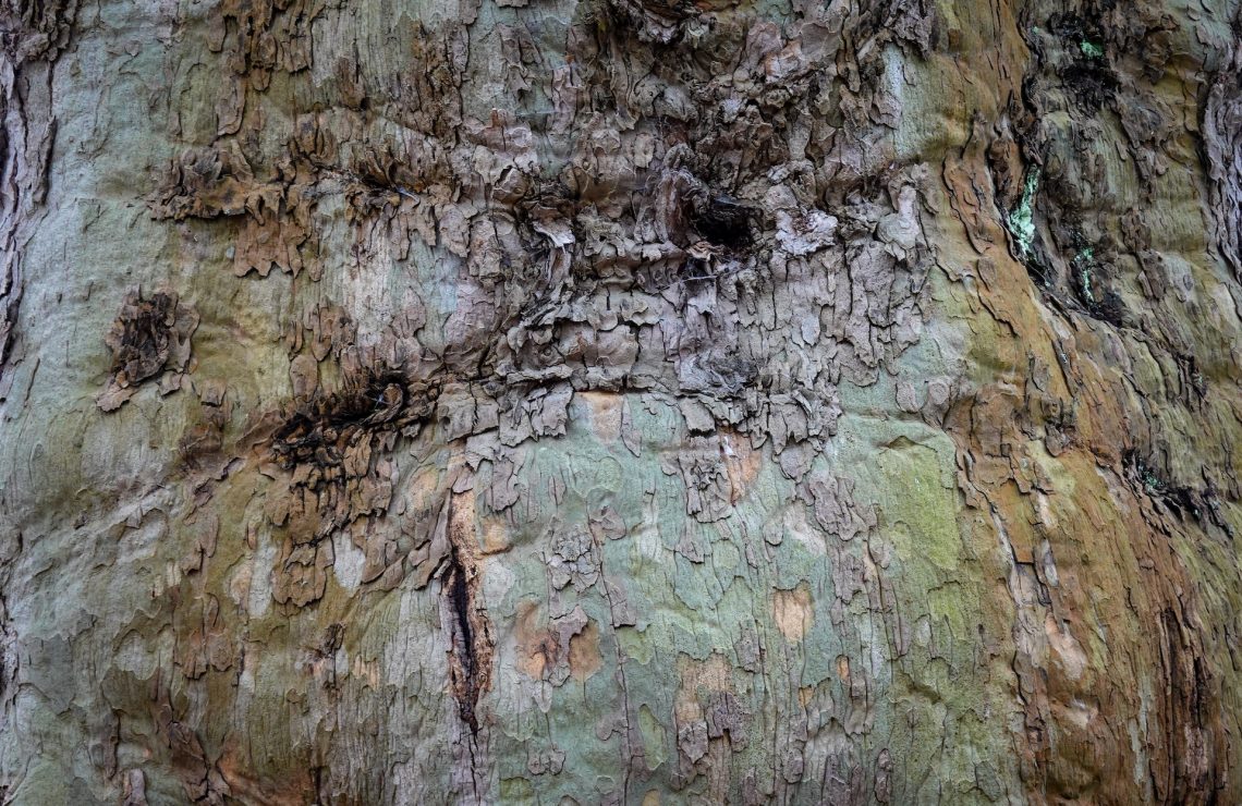 為什麼說坎昆升級有點糙
