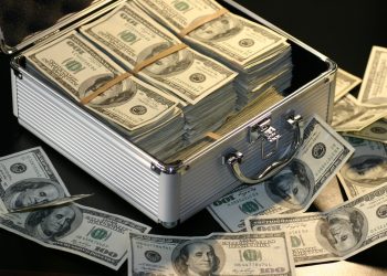 從財富效應到有機增長：揭示優質項目的成功之道