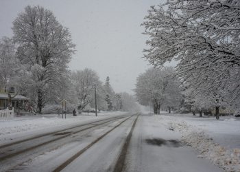 加密寒冬，Worldcoin 憑什麼拿下1 億美元融資？