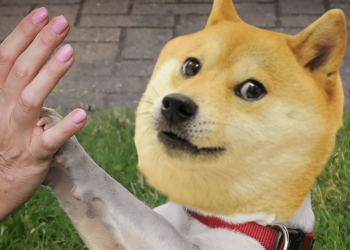 3年老鳥傳授！玩迷因幣、追土狗必備9個鏈上工具