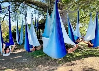 新住民瑜珈老師結合戶外攀樹　室內瑜珈也能擁抱大自然