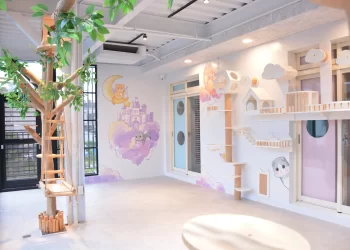 寵店新趨勢-用ai讓毛孩享客製服務