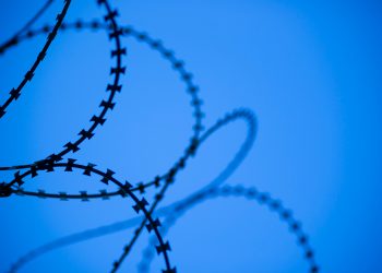 加密推特的FOMO 陷阱，與悄然而至的ROMO 藝術