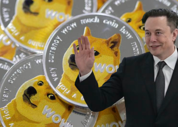 馬斯克救市！發文支持狗狗幣，DOGE強彈10%