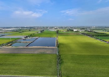 內政部放寬土地限制，綠能專區種電大放送，近百位學者聯署，批政府棄守國土永續原則