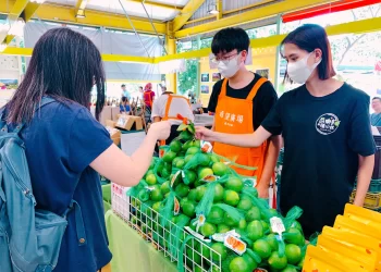 屏東推廣香蕉檸檬直送台北希望廣場