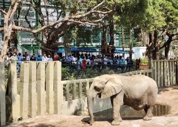 壽山動物園動物明星票選起跑　暑假全國12歲以下免費入園