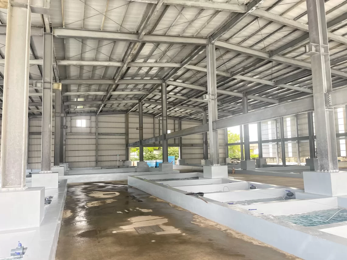 枋山魚塭創新漁電共生模式-永續發展創雙贏