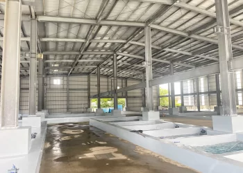 枋山魚塭創新漁電共生模式-永續發展創雙贏