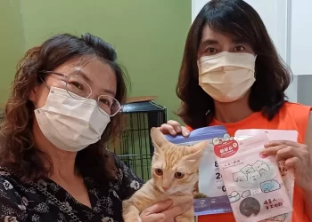 高雄寵物餐廳攜手愛狗人協會　開闢領養流浪貓櫥窗