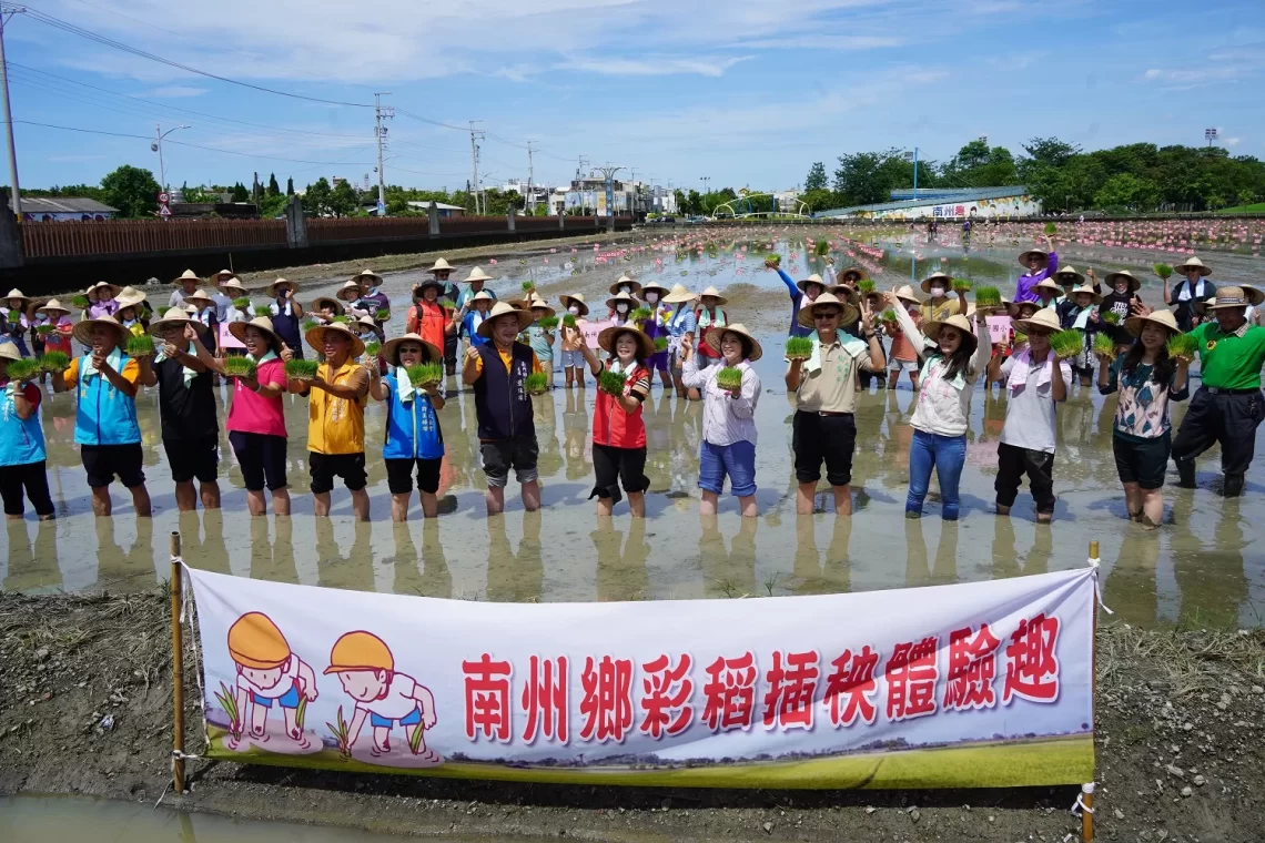 南州彩稻插秧「海底世界」國慶連假揭幕