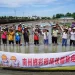南州彩稻插秧「海底世界」國慶連假揭幕