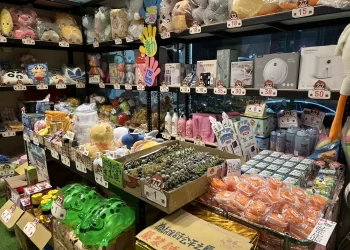 中和親子室內景點「都會叢林夾樂園」只要1步驟，就有機會把韓國來回機票「夾」回家