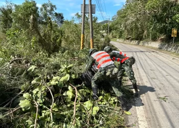 小犬重創滿州與牡丹　第四作戰區國慶連假助恢復家園