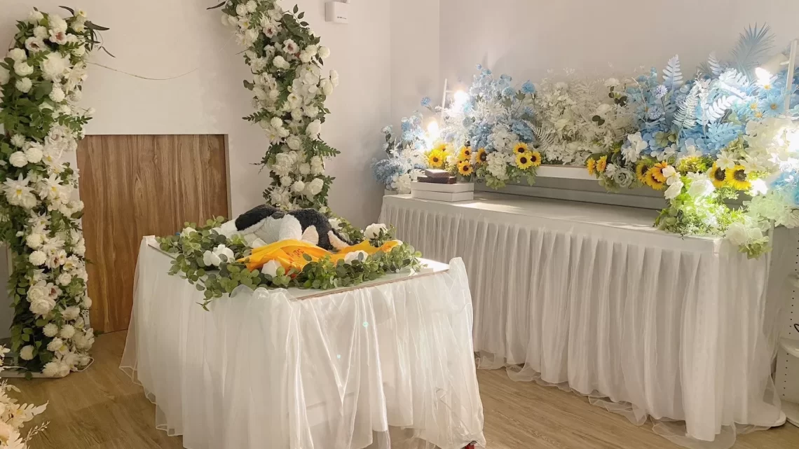 寵物禮儀「水化」善終 毛孩溫和舒適的道別