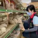 屏東衛生局素食食品抽驗結果全數符合標準