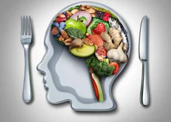 護腦食物加餐盤，-大腦凍齡7年半！