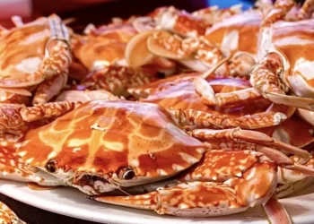 桃園酸菜魚名店推新品-搭配萬里蟹-有「青」才大聲!