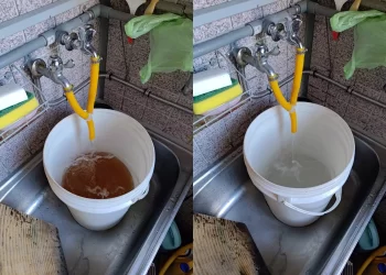 長年未洗「水管比馬桶還髒」？！黑熊先生：只要3小時還你乾淨管線