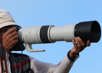 長焦端達-800mm-的輕量型大砲　canon-發表新款超望遠變焦鏡頭