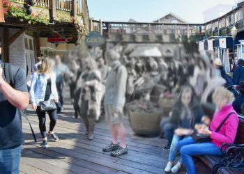 不只皮膚會長斑，視網膜也會長斑！50歲以上小心，是常見致盲性疾病！