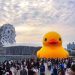 高雄冬季遊樂園吸引60萬人 超萌黃小鴨成焦點