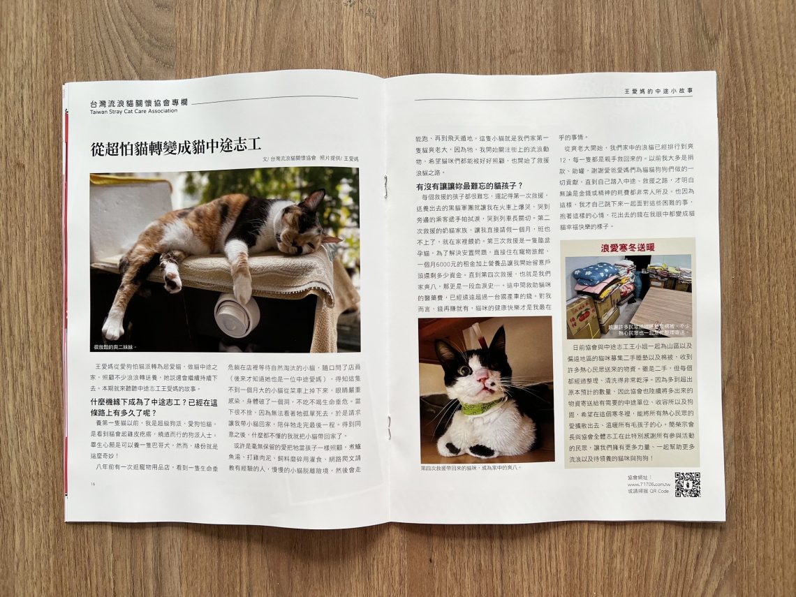 謝祖武其實是貓奴？養貓人必備《貓咪與我》收錄不為人知的一面