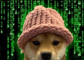 Solana 土狗 WIF 暴漲背後：一位巨鯨被 MEV 套利的血淚史