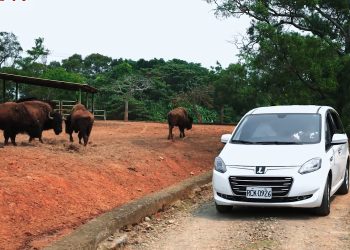 六福村45周年限定活動-未滿6歲免費入園-再享全民學童價