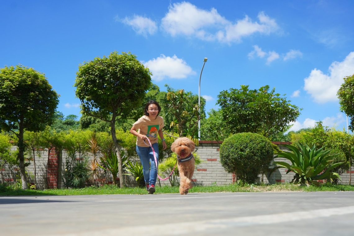 「國際寵物日」寵毛孩4點小心-專家:恐成健康隱形殺手