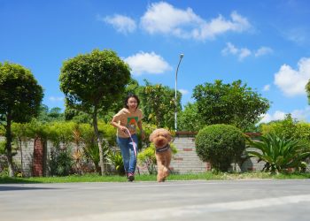 「國際寵物日」寵毛孩4點小心-專家：恐成健康隱形殺手