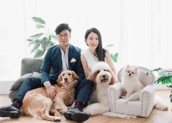 「毛小孩」也是家人-寵物保健食品關注上升