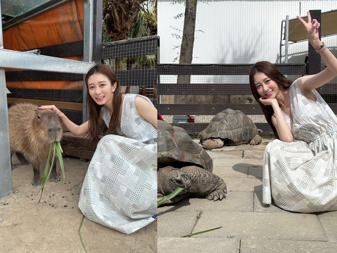 toyz入監服刑-篠崎泫未能親自送行-原來是做這件事