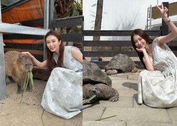 toyz入監服刑-篠崎泫未能親自送行-原來是做這件事