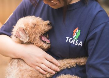 法國皇家攜手-momo-購物網　守護浪浪捐糧營養愛不斷